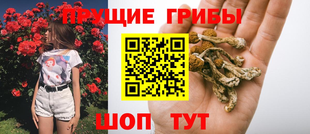 Псилоцибиновые грибы Magic Shrooms Саратов